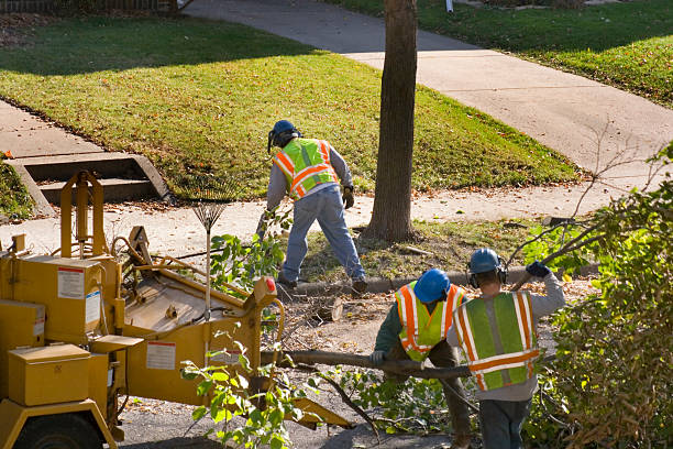 Mulching Services in Mission, OR